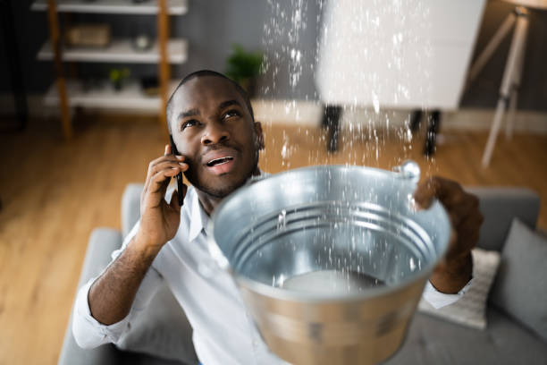 Best Flood damage cleanup  in Fayette, MS