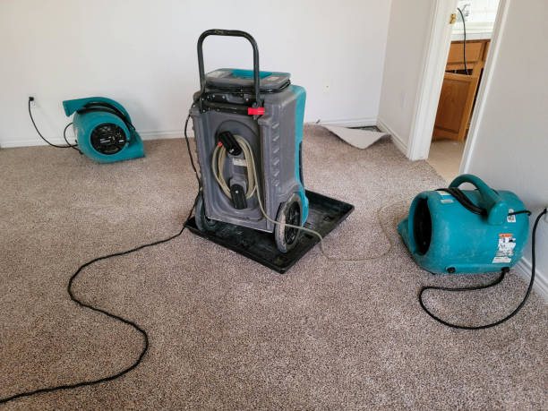 Best Ceiling water damage repair  in Fayette, MS