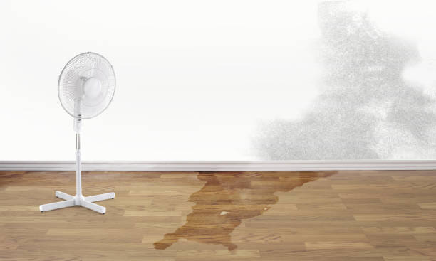 Best Flood damage cleanup  in Fayette, MS