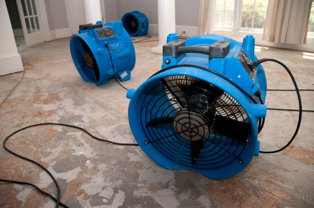 Best Carpet water damage restoration  in Fayette, MS
