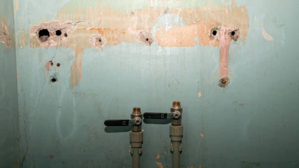 Best Basement water damage restoration  in Fayette, MS