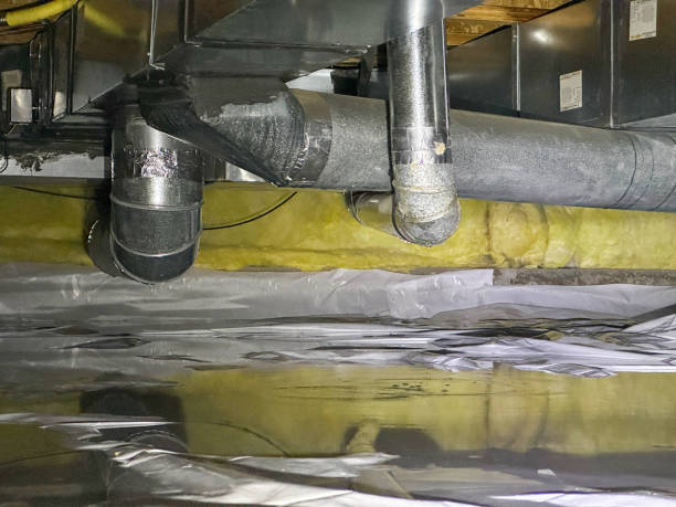 Best Water damage restoration near me  in Fayette, MS