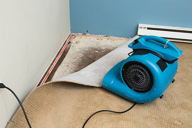 Best Water damage restoration process  in Fayette, MS